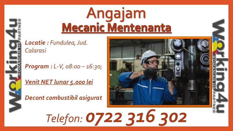 Mecanic mentenanta