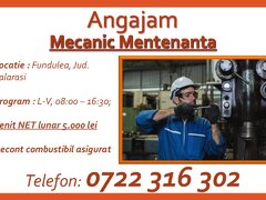 Mecanic mentenanta