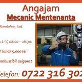 Mecanic mentenanta