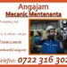 Mecanic mentenanta